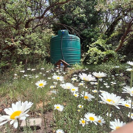 His Vessel Guesthouse Clarens Fs מראה חיצוני תמונה
