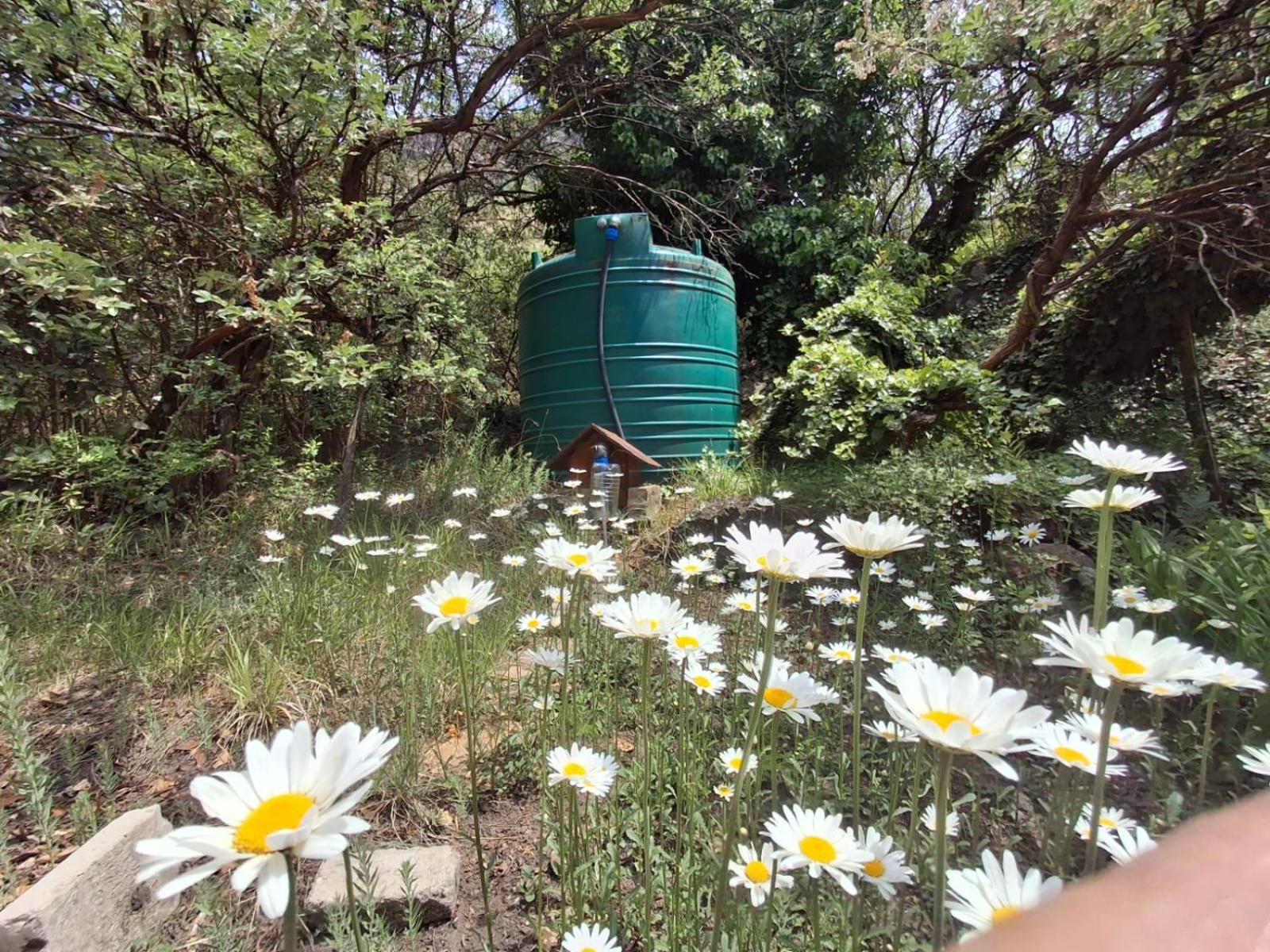 His Vessel Guesthouse Clarens Fs מראה חיצוני תמונה